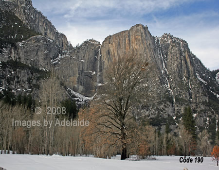 Yosemite Falls and Winter Meadow